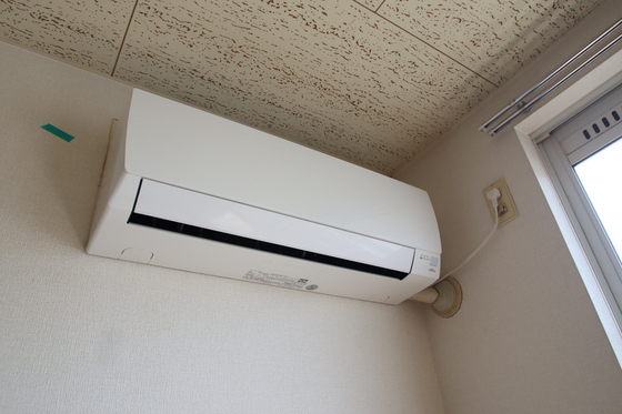 ニューハウン F