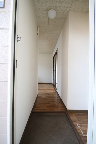 ニューハウン F