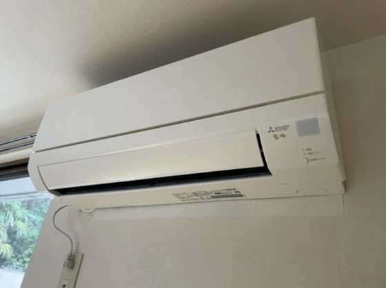 フォーシーズンズ春