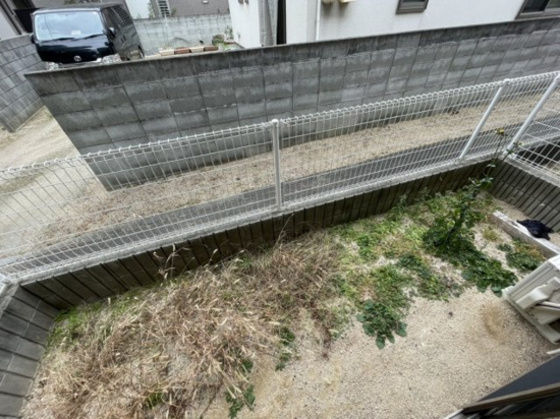 フォーシーズンズ春