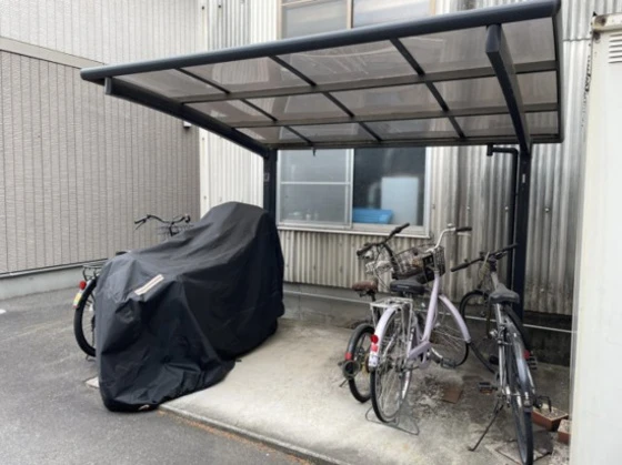 フォーシーズンズ春