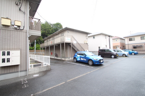 フォーシーズンズ春