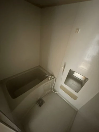 フォーシーズンズ春