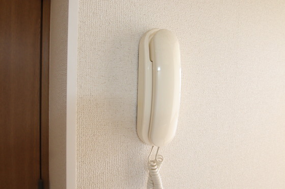 コスモス・インハイツA