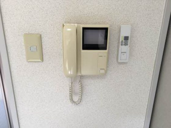 アミティ フラッツ