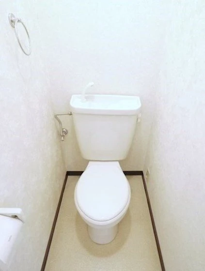 アクセスワケⅡ