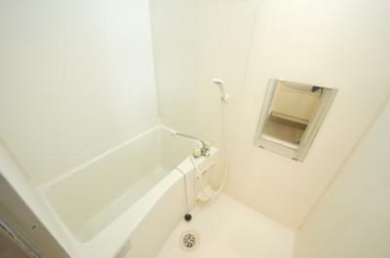 アクセスワケⅡ