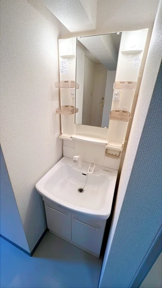 ウィスティリア