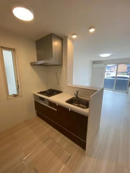 ノースエスペランサ平野