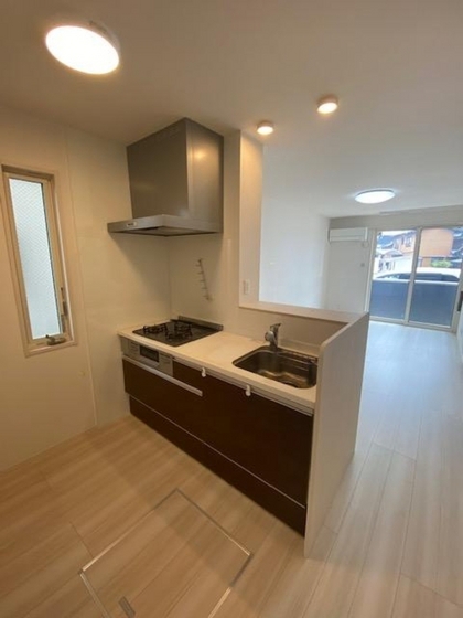 ノースエスペランサ平野