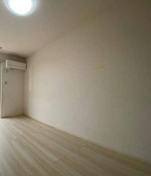 ノースエスペランサ平野