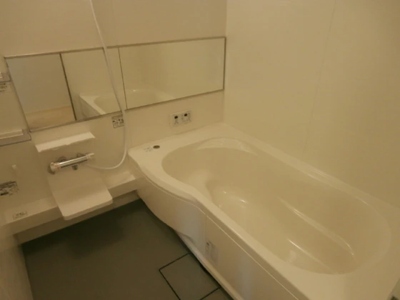 ブランシュ―ル