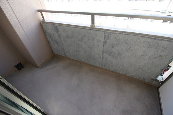 ピオニエール オモテチョウ