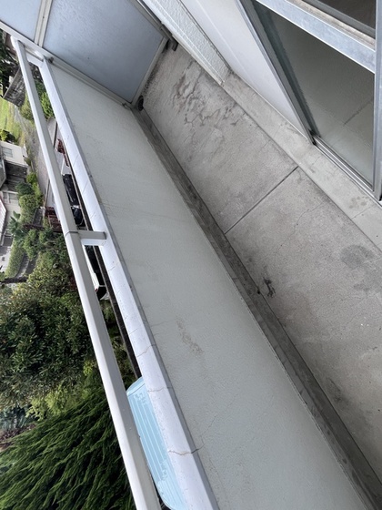 スティングハウス