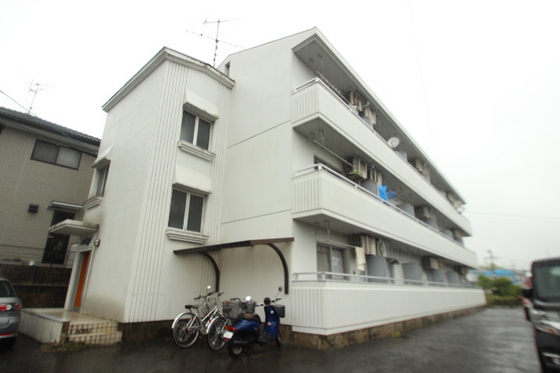 スティングハウス