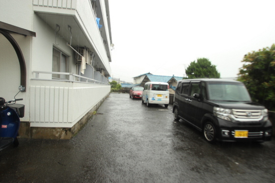 スティングハウス