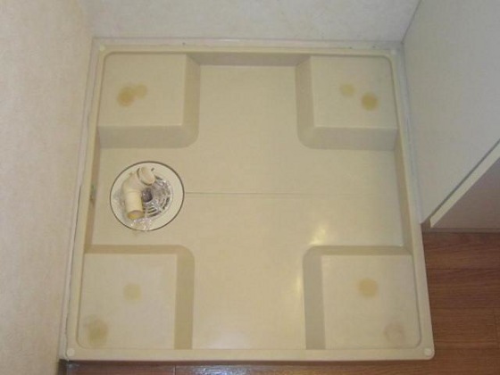 フェアリー壱の口A