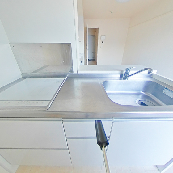 ミランダラフィーナⅡ