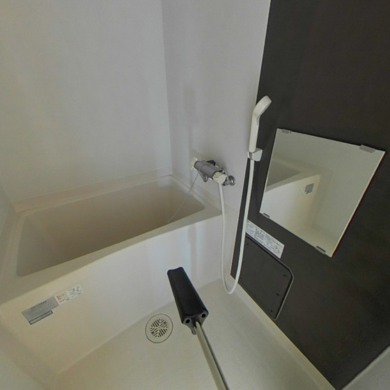 ミランダラフィーナⅡ