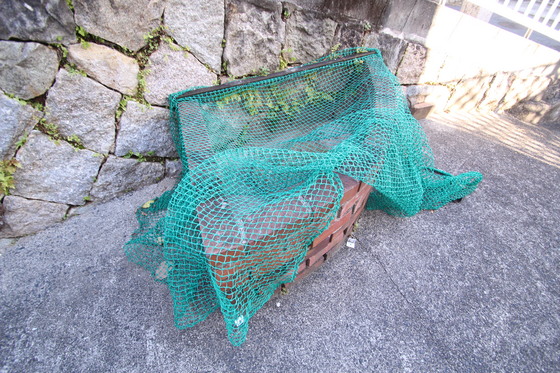 フレグランス藤井