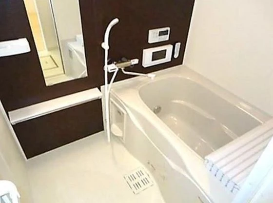 ブリエロッシュ