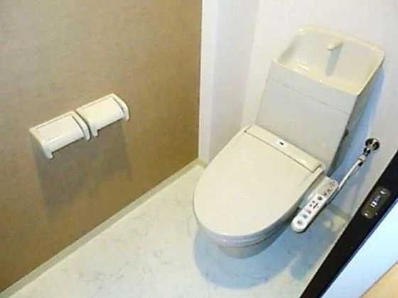 ブリエロッシュ