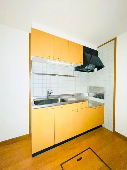 カルフール・ヒルズ A