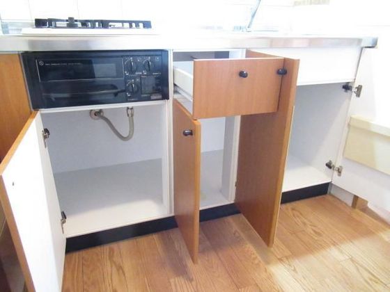 レジデンス スワニーⅢ