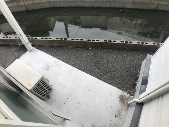 アルフィー当新田