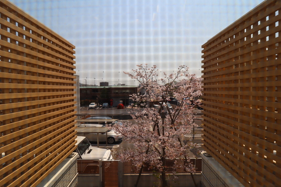 さくらみちガーデン