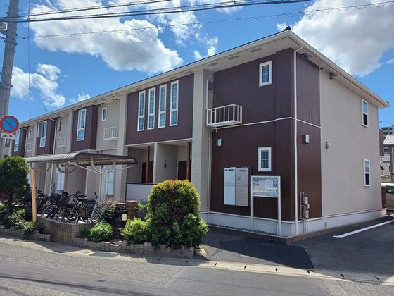 ソレアード ノイ