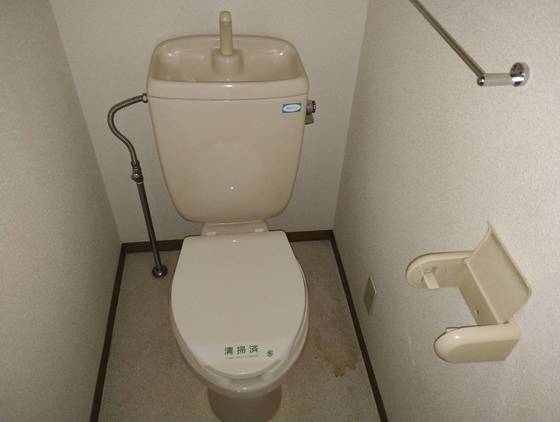 ハイカムール平原