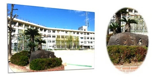 ハイカムール平原