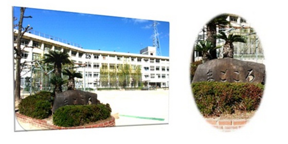 ハイカムール平原