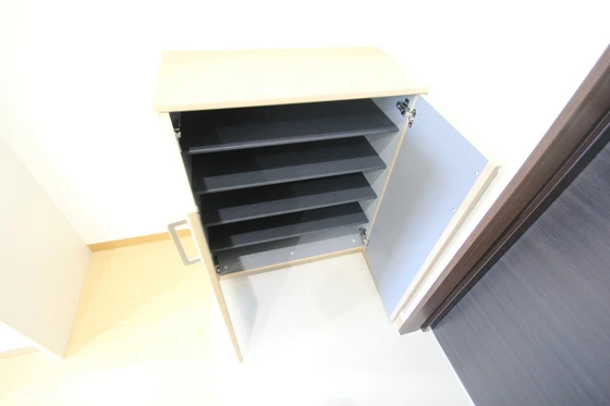 カーサニックス