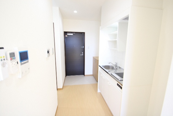 カーサニックス