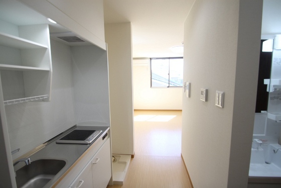 カーサニックス