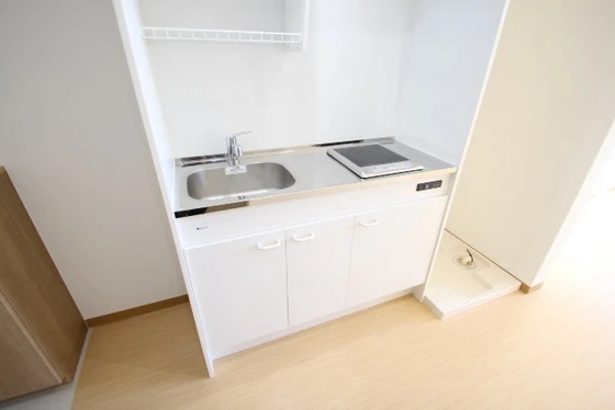 カーサニックス