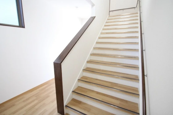 カーサニックス