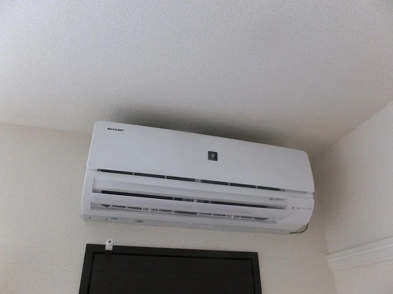 レオネクストヴェンセル