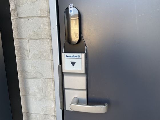 レオネクストヴェンセル