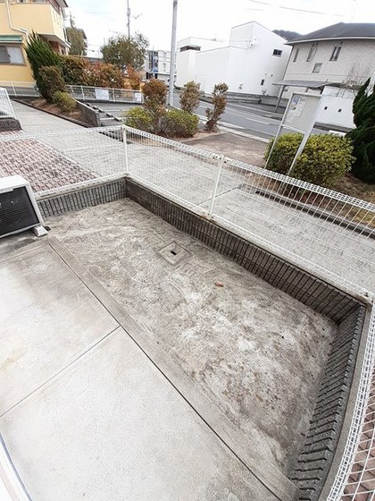 リンデンバウム・ナンバ