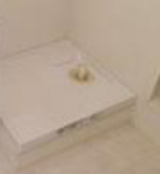 ドミールイノウエ