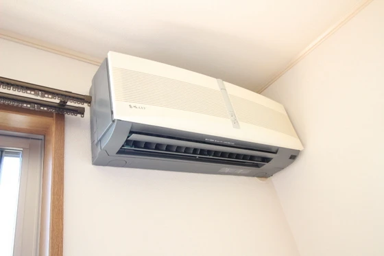 ハイムアネシス