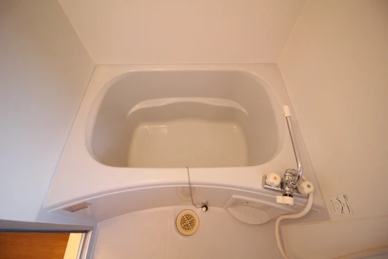 ハイムアネシス