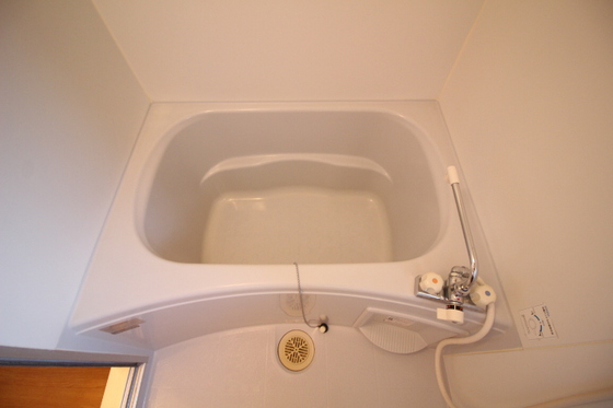 ハイムアネシス