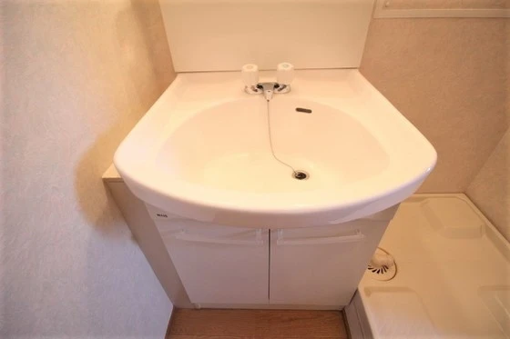 ハイムアネシス