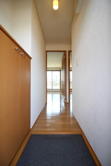 ハイムアネシス