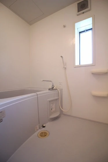 ハイムアネシス