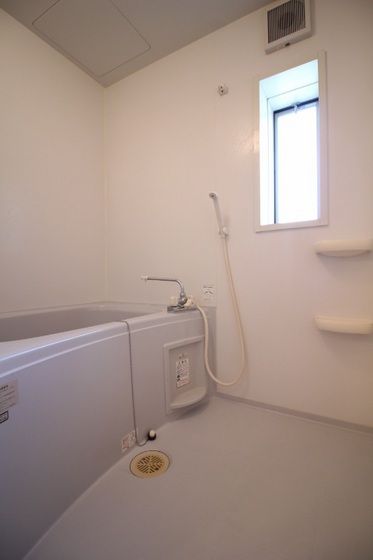 ハイムアネシス